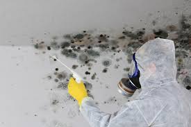 Best Mold Prevention Services in Diablo Grande, CA